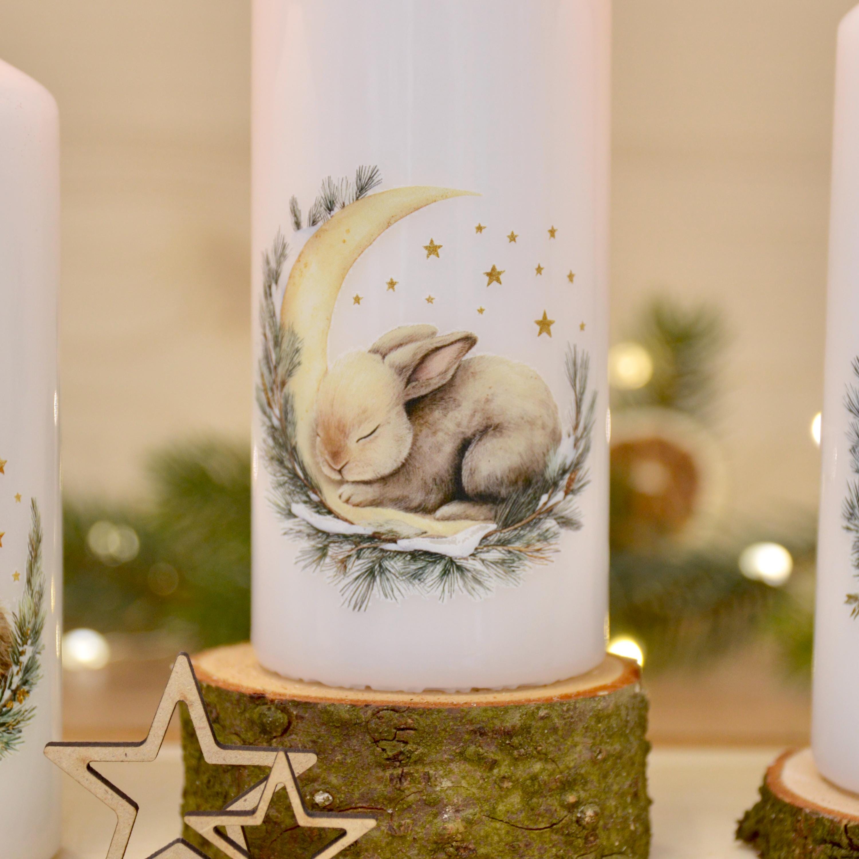 winterliche Motivkerzen mit verschiedenen Tiermotiven | schlafende Tiere | 150x60mm | ca. 47h Brenndauer | Weihnachtsgeschenk | Geschenkidee