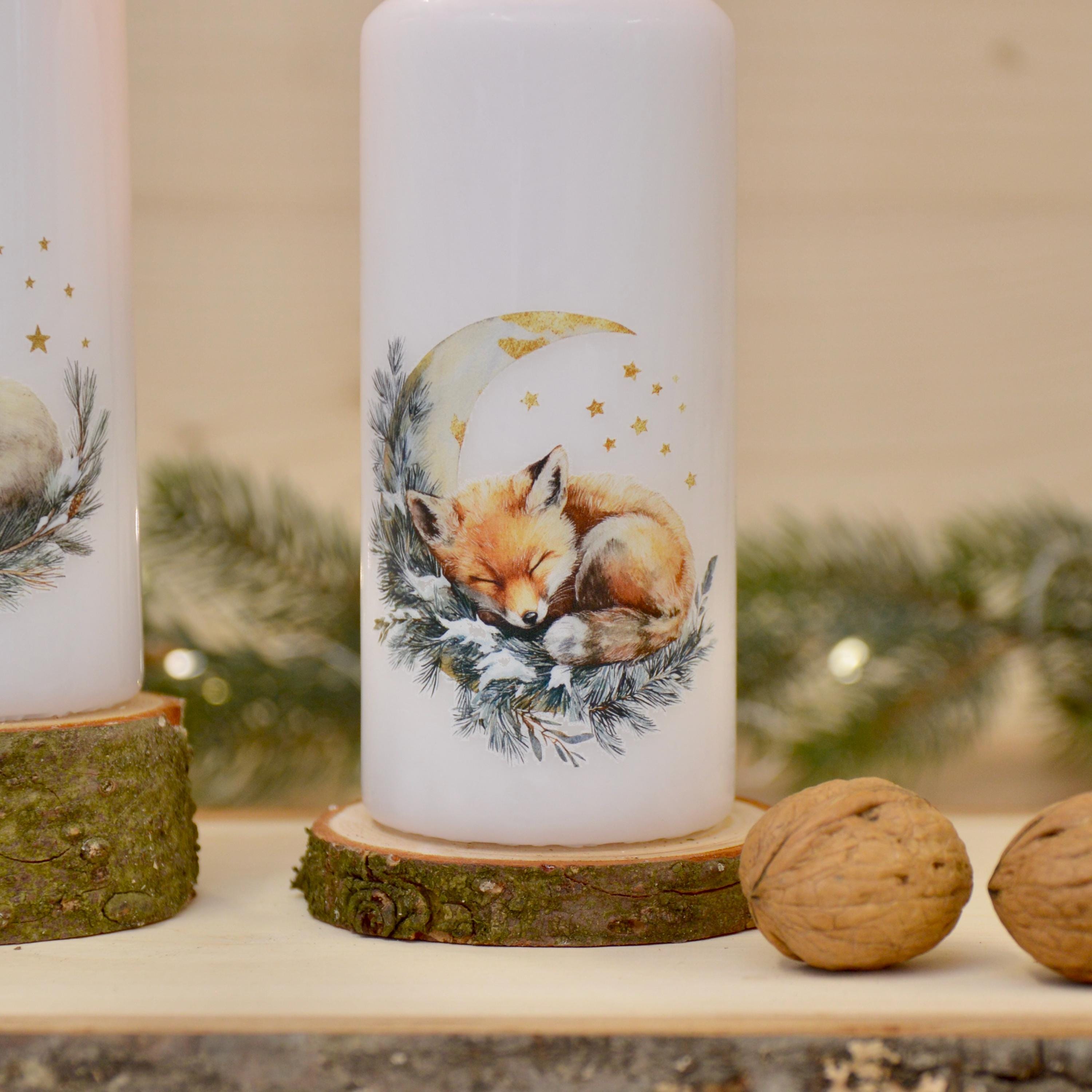 winterliche Motivkerzen mit verschiedenen Tiermotiven | schlafende Tiere | 150x60mm | ca. 47h Brenndauer | Weihnachtsgeschenk | Geschenkidee