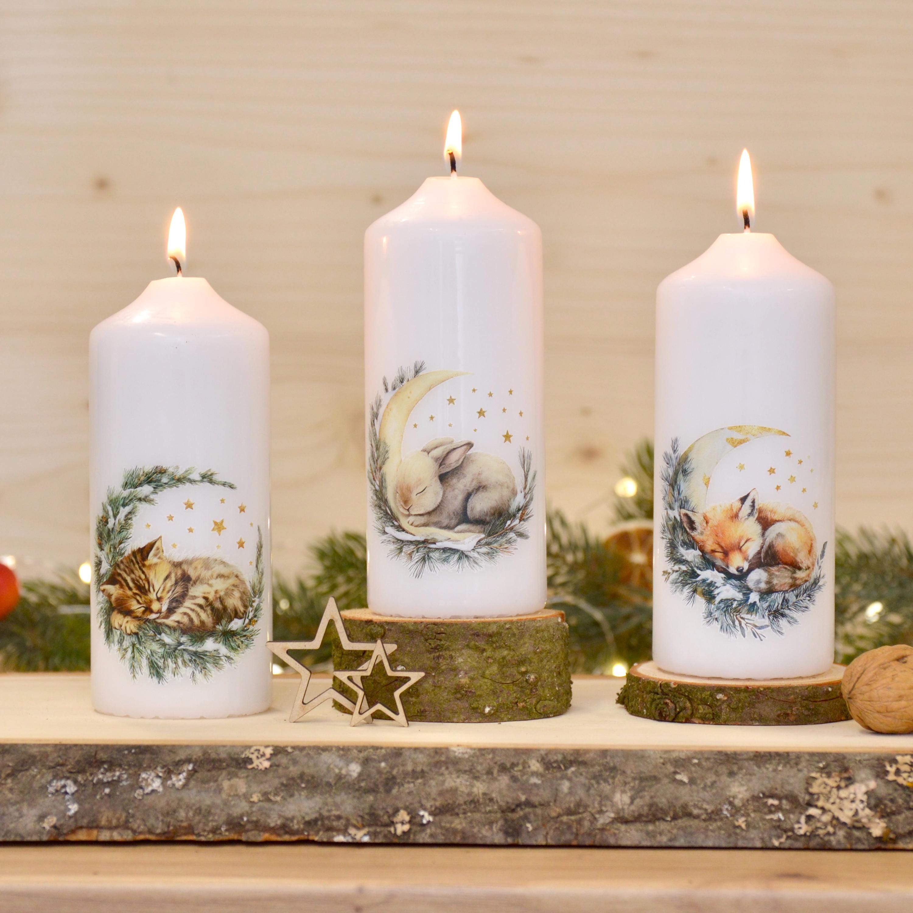 winterliche Motivkerzen mit verschiedenen Tiermotiven | schlafende Tiere | 150x60mm | ca. 47h Brenndauer | Weihnachtsgeschenk | Geschenkidee