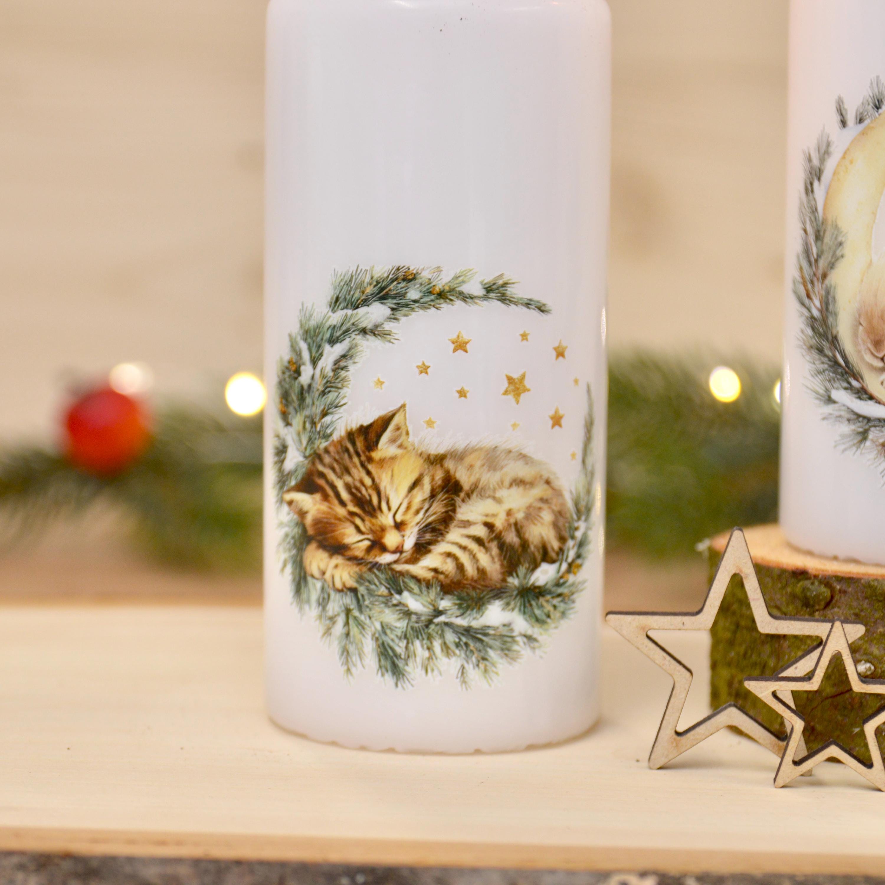 winterliche Motivkerzen mit verschiedenen Tiermotiven | schlafende Tiere | 150x60mm | ca. 47h Brenndauer | Weihnachtsgeschenk | Geschenkidee