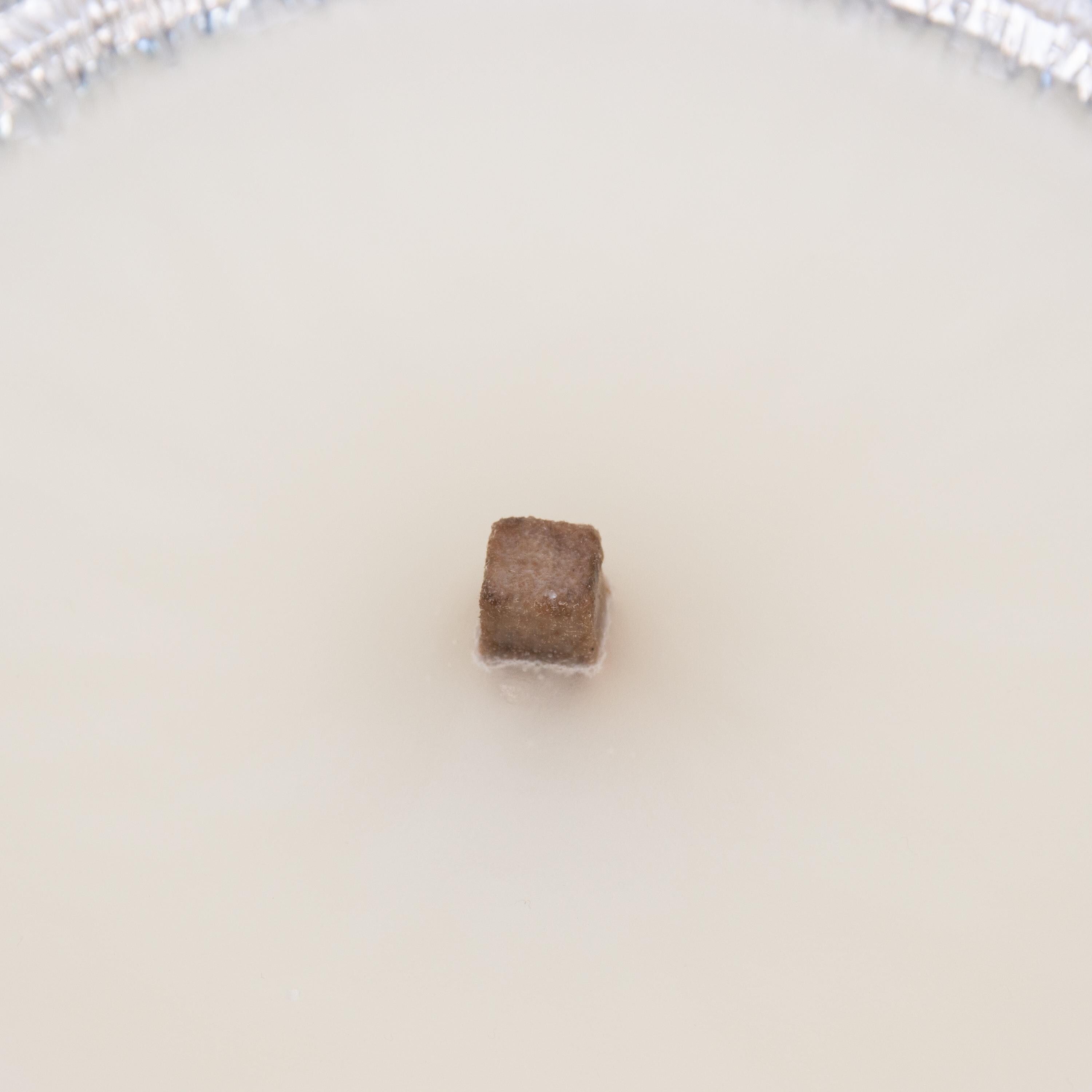 Nachhaltige Flammschale 16 cm aus Recycling-Wachs | Outdoor Kerze Garten Terrasse Balkon | Wiederverwendbar mit Dauerdocht | Upcycling Deko