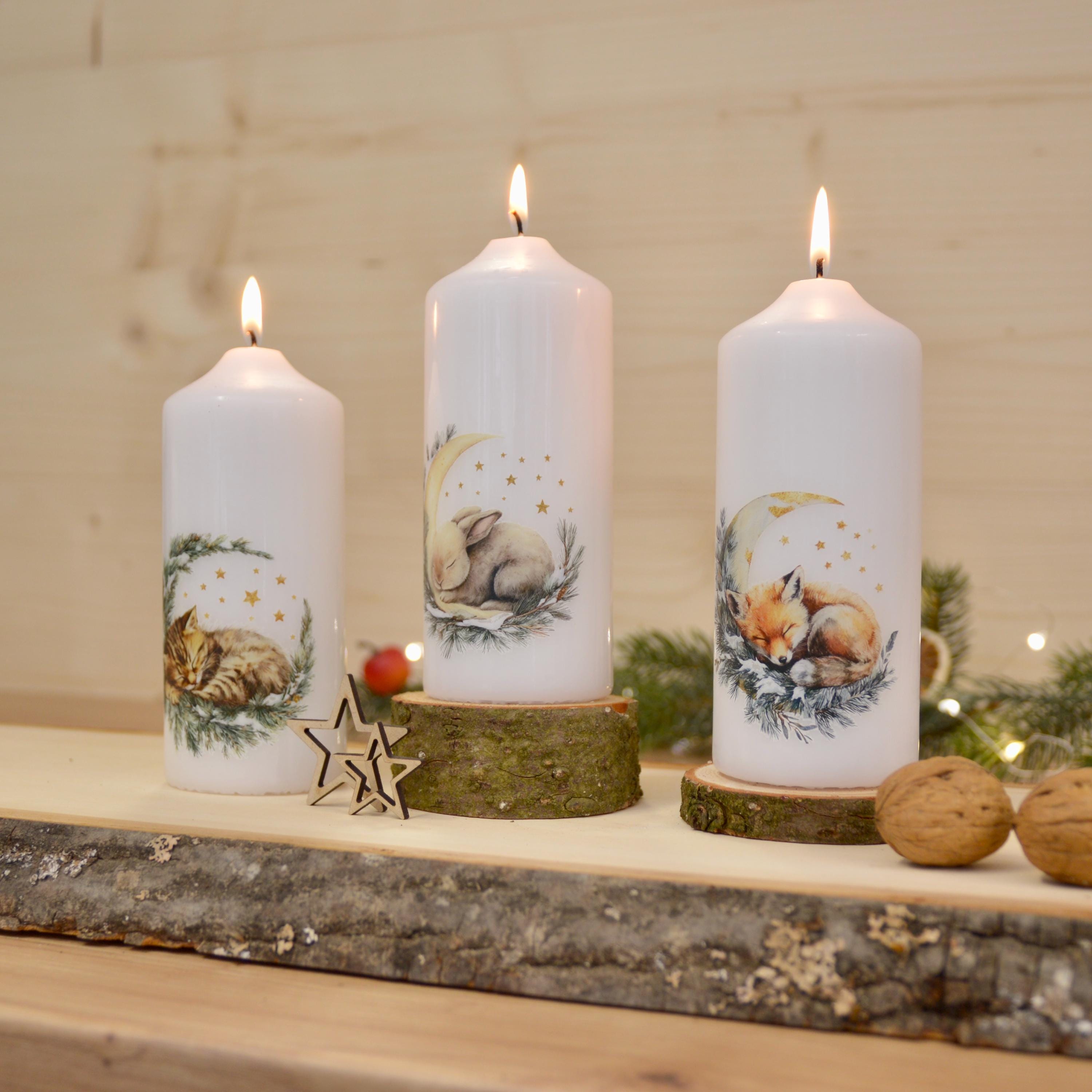 winterliche Motivkerzen mit verschiedenen Tiermotiven | schlafende Tiere | 150x60mm | ca. 47h Brenndauer | Weihnachtsgeschenk | Geschenkidee