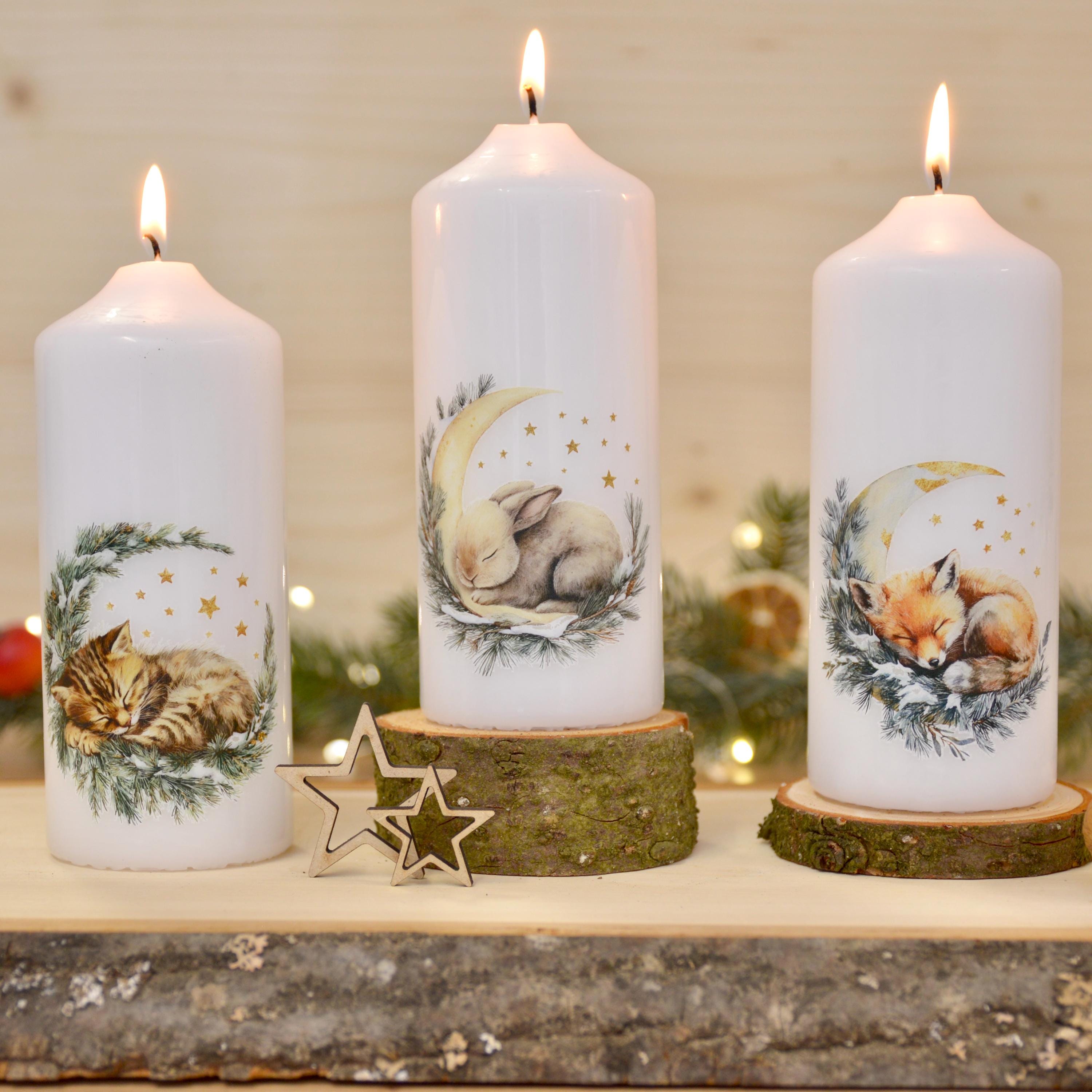 winterliche Motivkerzen mit verschiedenen Tiermotiven | schlafende Tiere | 150x60mm | ca. 47h Brenndauer | Weihnachtsgeschenk | Geschenkidee